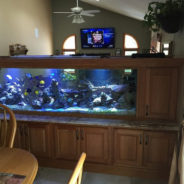 Fish Tank