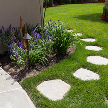Landscape Ideas