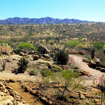 High Desert Harmony