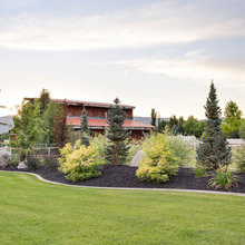 Landscape Ideas