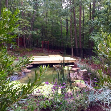 Artificial swamp/pollinator-friendly garden