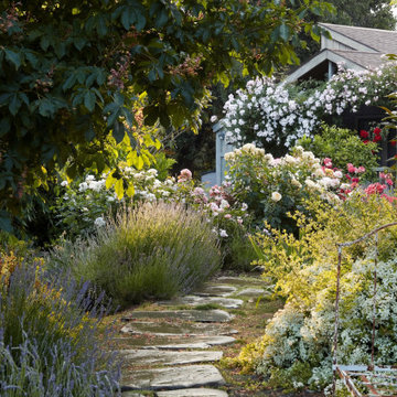 Stone Garden Path with Layered Planting