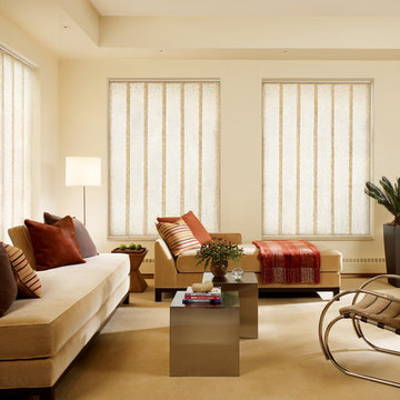 Hunter Douglas Contemporary Living Window Treatments and Draperies