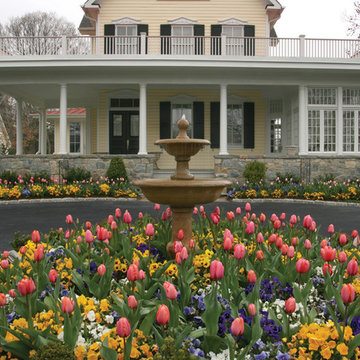 An Abundance of Spring Flowers