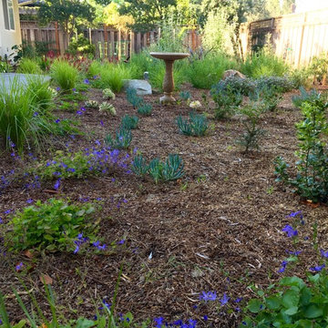 From Weeds to Welcome Home!