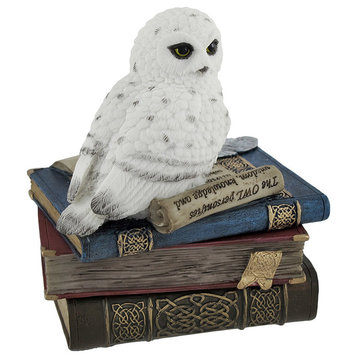 Wise Snow Owl Resting on Scholar`s Books Trinket Box