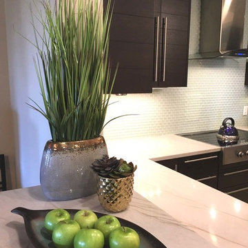 Staging Avi's Luxury Condo