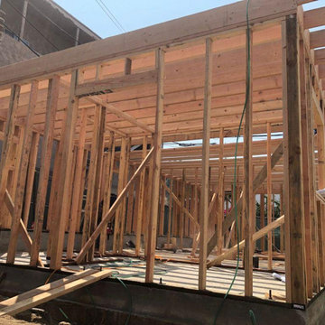 ADU/Garage Conversion - Eagle Rock