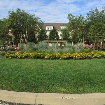 Pollinator Garden- June