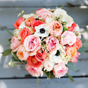 James Carlson's photo