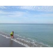 Laura Ross's photo