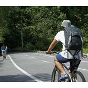 Ashvin Avalani's photo