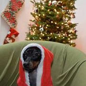 Morgan Flemming's photo