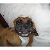 Marie-eve Gaudet's photo