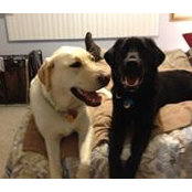Denise Iannucci Rhoads's photo