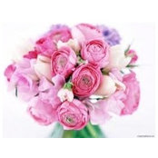 Айгуль's photo