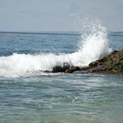 David Reuss's photo