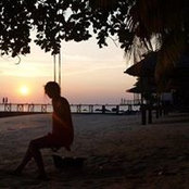 Naomi Lauret's photo