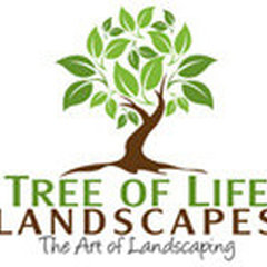Tree of Life Landscapes