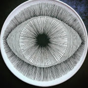 Mila Petkovic's photo