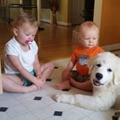 Kimberly Lyon's photo