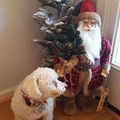 Michele Carlson's photo