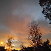Foto von Tiffany C