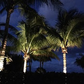 Kathie Munsen's photo