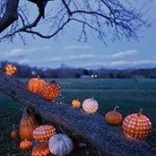 Kimberly Doskocil's photo