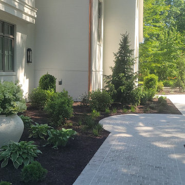 2025 Garden Highlights