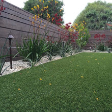 Landscape Ideas