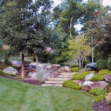 rear home landscaping