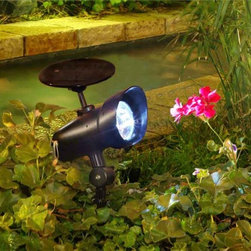 Solar Spot Light - Outdoor Lighting