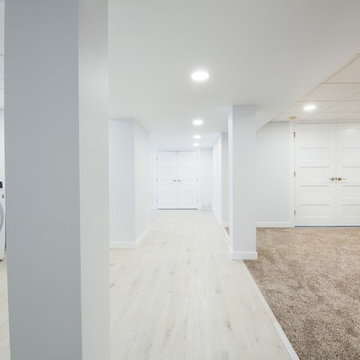 Bright and Spacious Basement