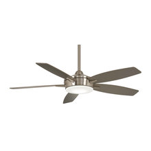 Ceiling Fans