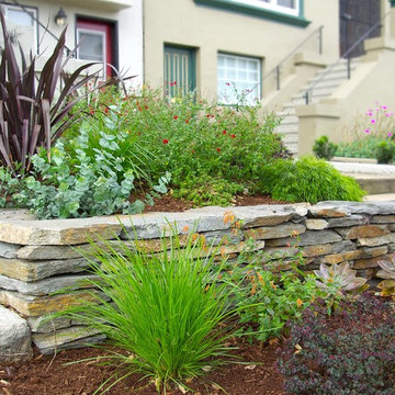 San Francisco Tiny Front Garden