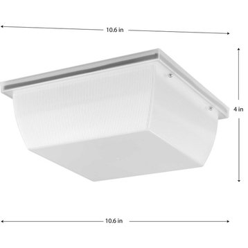 Hard-Nox Collection 1-Light White Polycarbonate Shade Outdoor Wall Ceiling