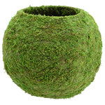 Arcadia Garden Products - Kokedama 12 x 10.5", Set of 2 - Gardening typically involves containers of some kind and with this nature-inspired Kokedama Moss Ball Planter from Arcadia Garden Products, your garden will radiate. Simply scoop in the appropriate soil mix for the plants you select. Add the plants and then water. The moss ball planter will work its magic by retaining moisture and nurturing the roots. (Not all roots want a moist growing environment so select plants accordingly.) This moss ball planting method is said to originate hundreds of years ago in Japan. With this Kokedama there is no messy hand-molding of coir, peat and potting mix to make a muddy ball. Instead, the globe-shaped frame is made of metal wire covered in preserved moss that is meticulously wrapped with unobtrusive line to achieve the Kokedama look. For plants, this type of container provides a moist, low-water growing environment typically suitable for consistent misting. For gardeners, convenience is key when achieving another level of enjoyment in the garden.