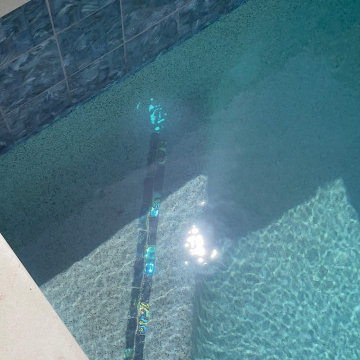 North Hollywood Residential Pool Construction with Integrated Spa