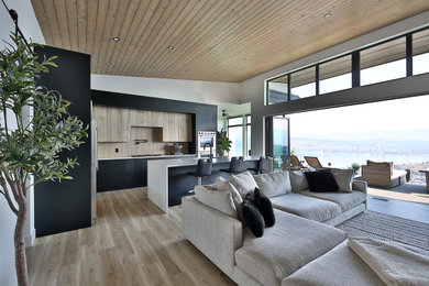 Example of a minimalist living room design in Vancouver