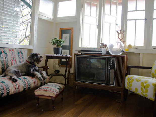 Houzz Dogs Basking in the Summer Sun