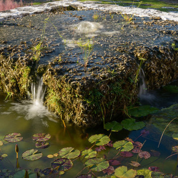 Baker's Bay Garden 2