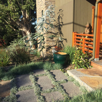 Mostly Australian in Mission Canyon
