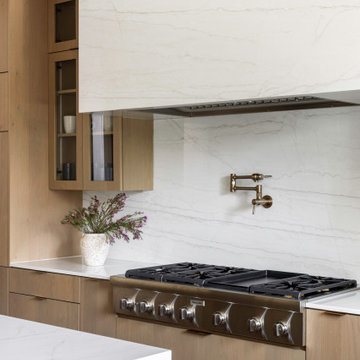 Vienna Contemporary Kitchen
