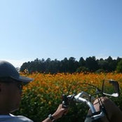 Foto von Toshi Tsukuba