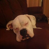 Mac Heavener's photo