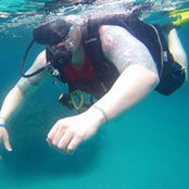 Thomas Tortoso's photo