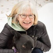 Noel Yegian's photo