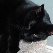 Delia Plastina's photo