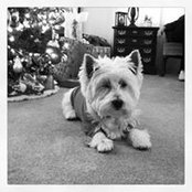Mandy Summers's photo